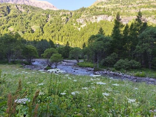IMG 20250704 084633