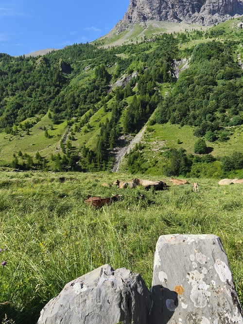 IMG 20250704 093714