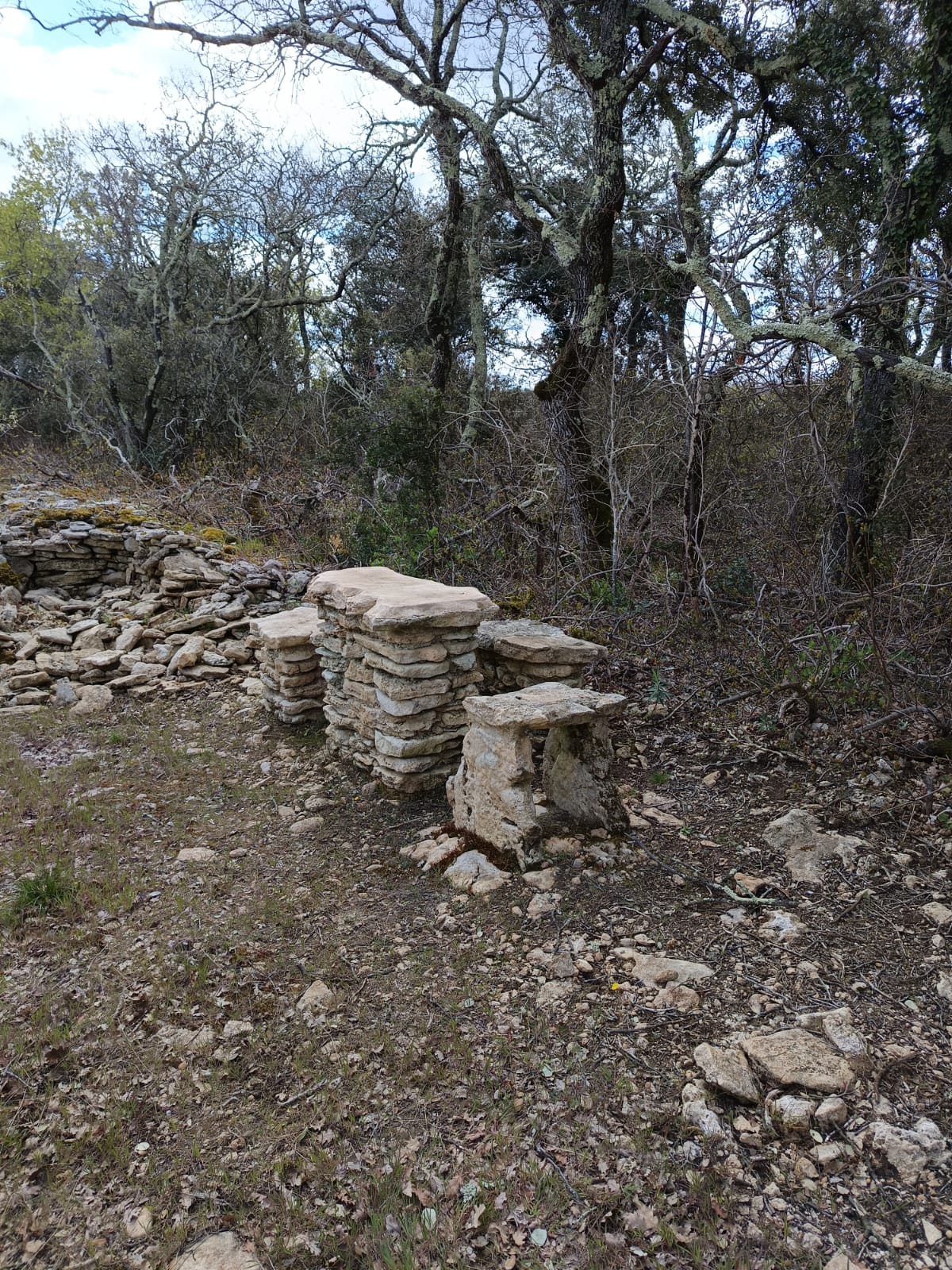 WhatsApp Image 2026 03 31 at 154