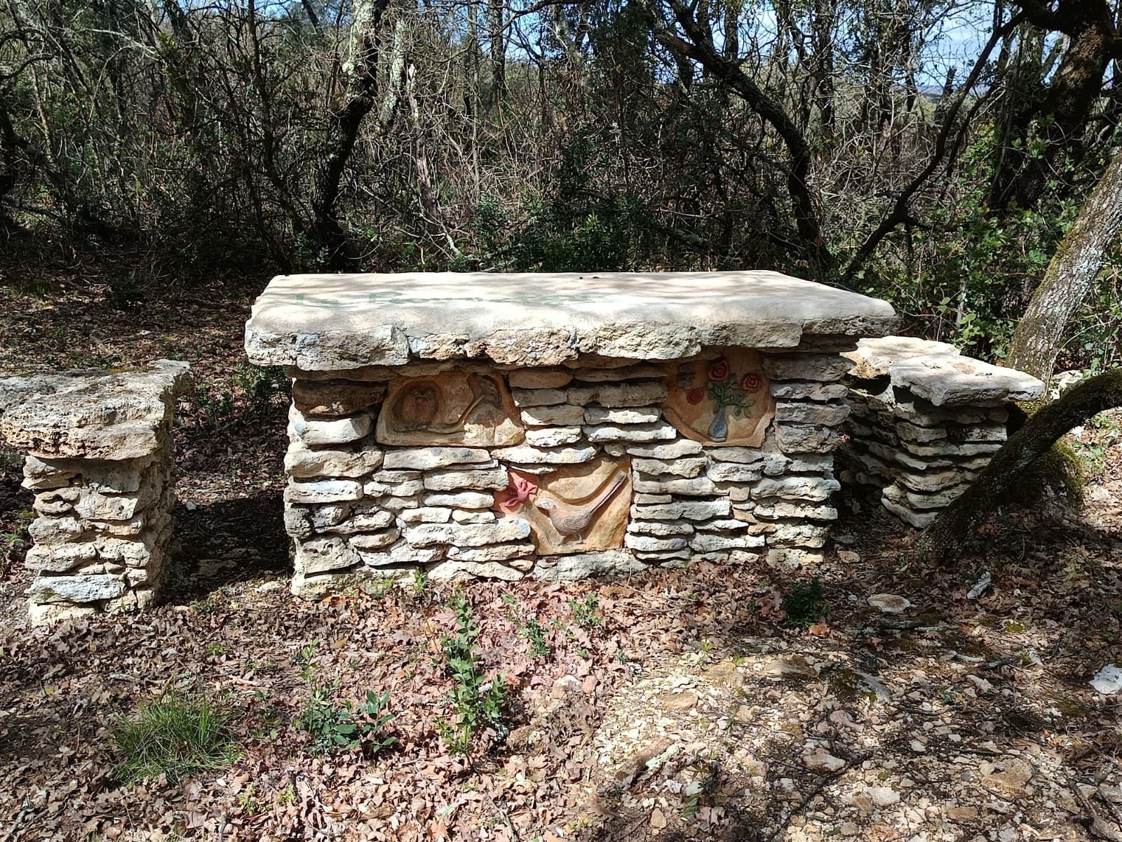 WhatsApp Image 2026 03 31 at 17.10