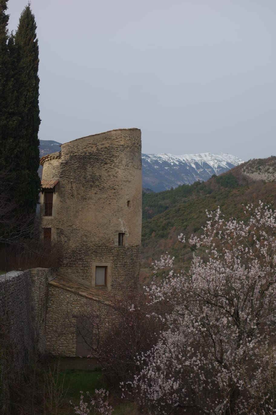 WhatsApp Image 2026 0 05 at 18.07.38