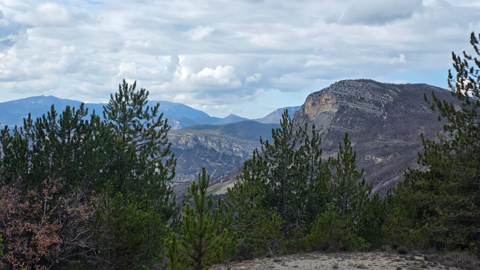 WhatsApp Image 2026 03 01 at 15.22.43