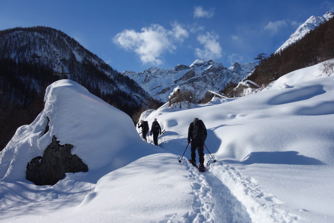 WhatsApp Image 2026 02 02 at .02.22