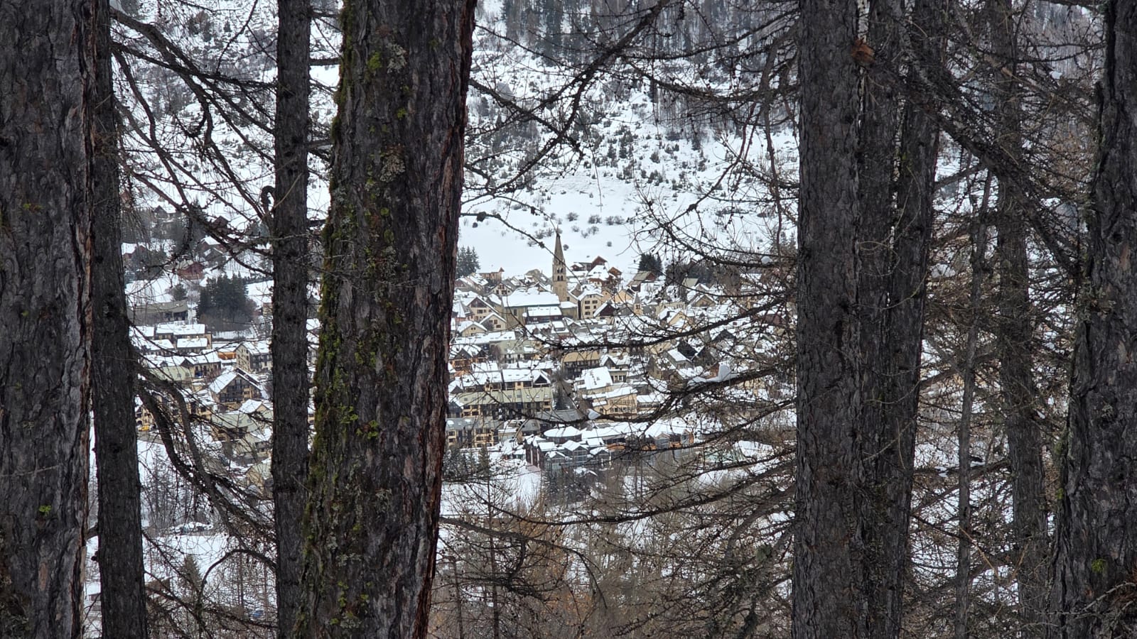 WhatsApp Image 2026 02 02 at 15.46.19