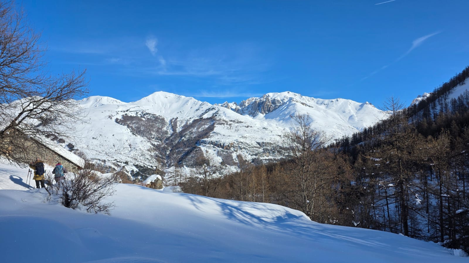 WhatsApp Image 2026 02 02 at 15.46.43