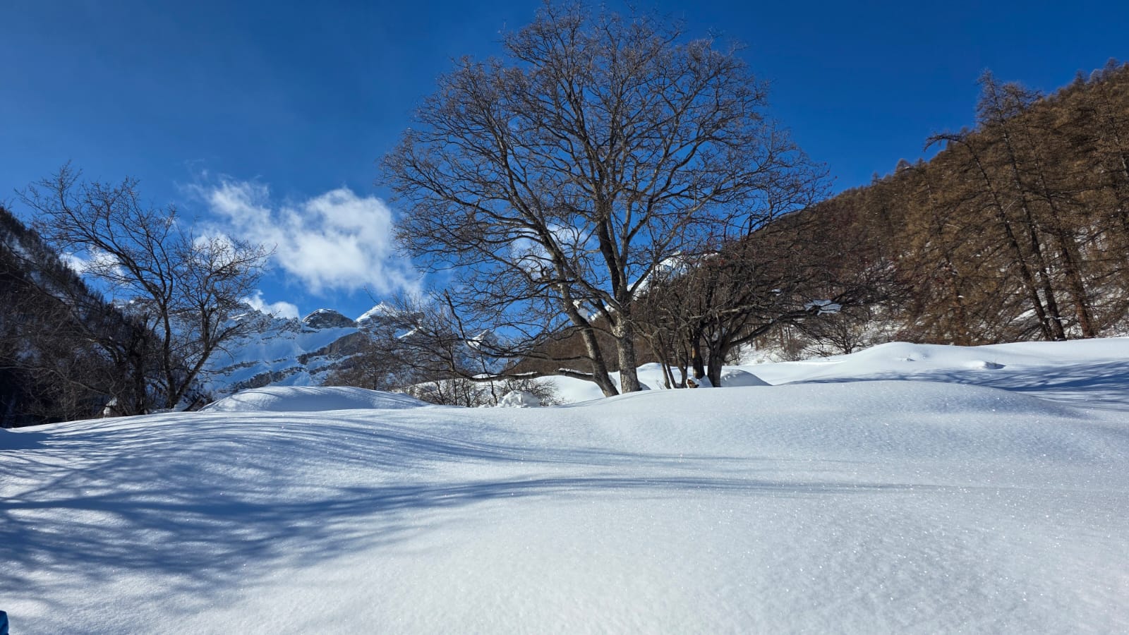 WhatsApp Image 2026 02 02 at 15.46.45