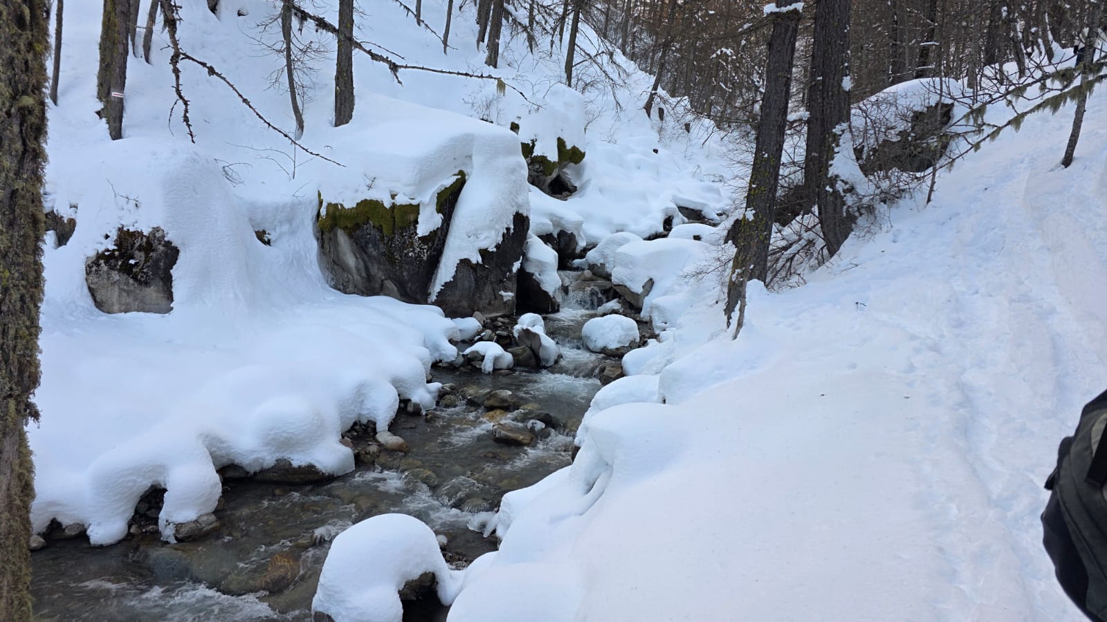 WhatsApp Image 2026 02 02 at 15.47.25