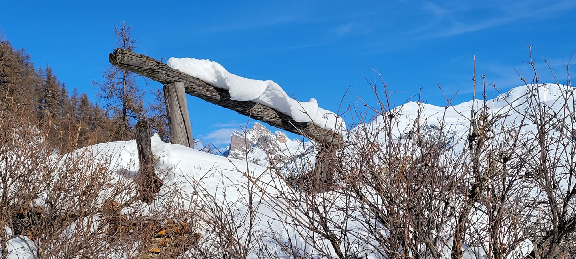 WhatsApp Image 2026 02 02 at 16.10.38