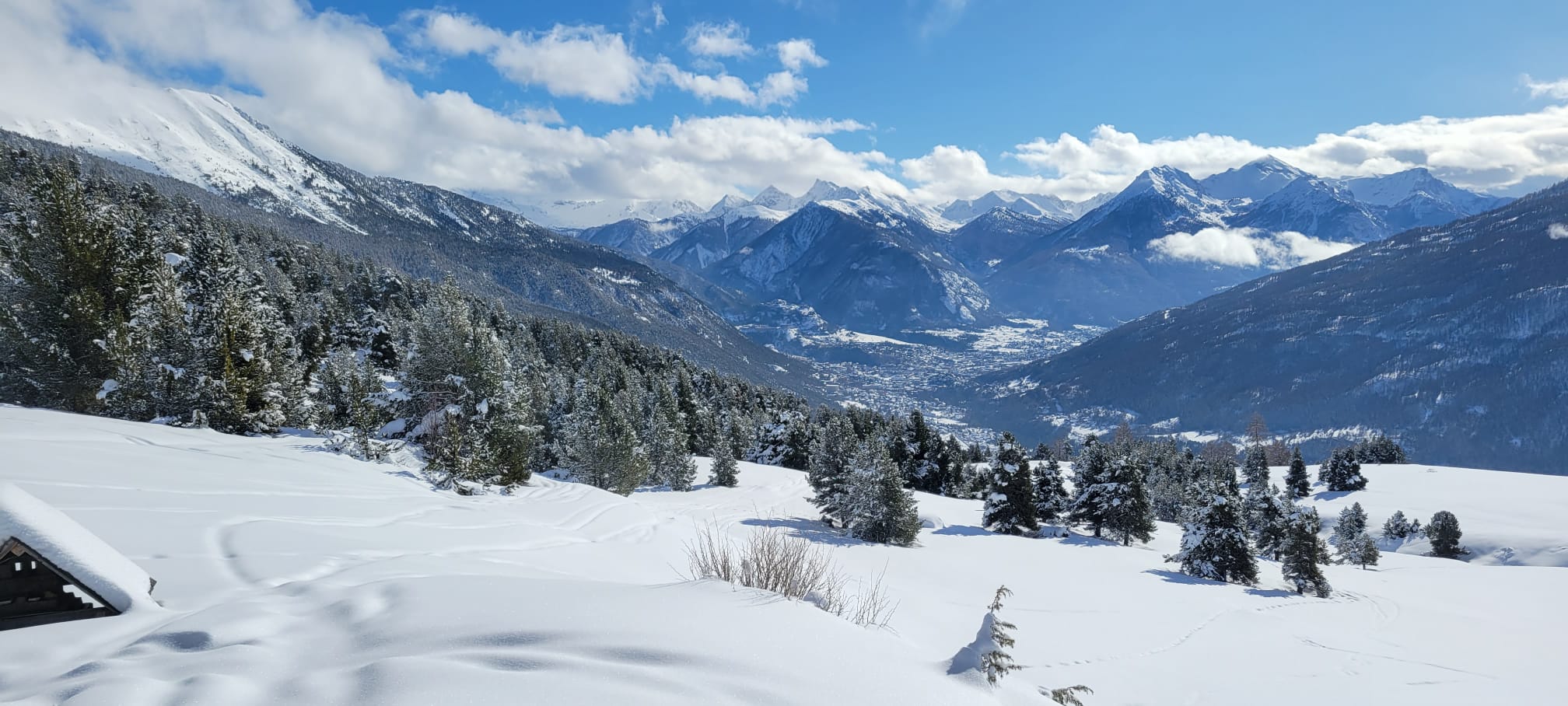 WhatsApp Image 2026 02 03 at 103.36