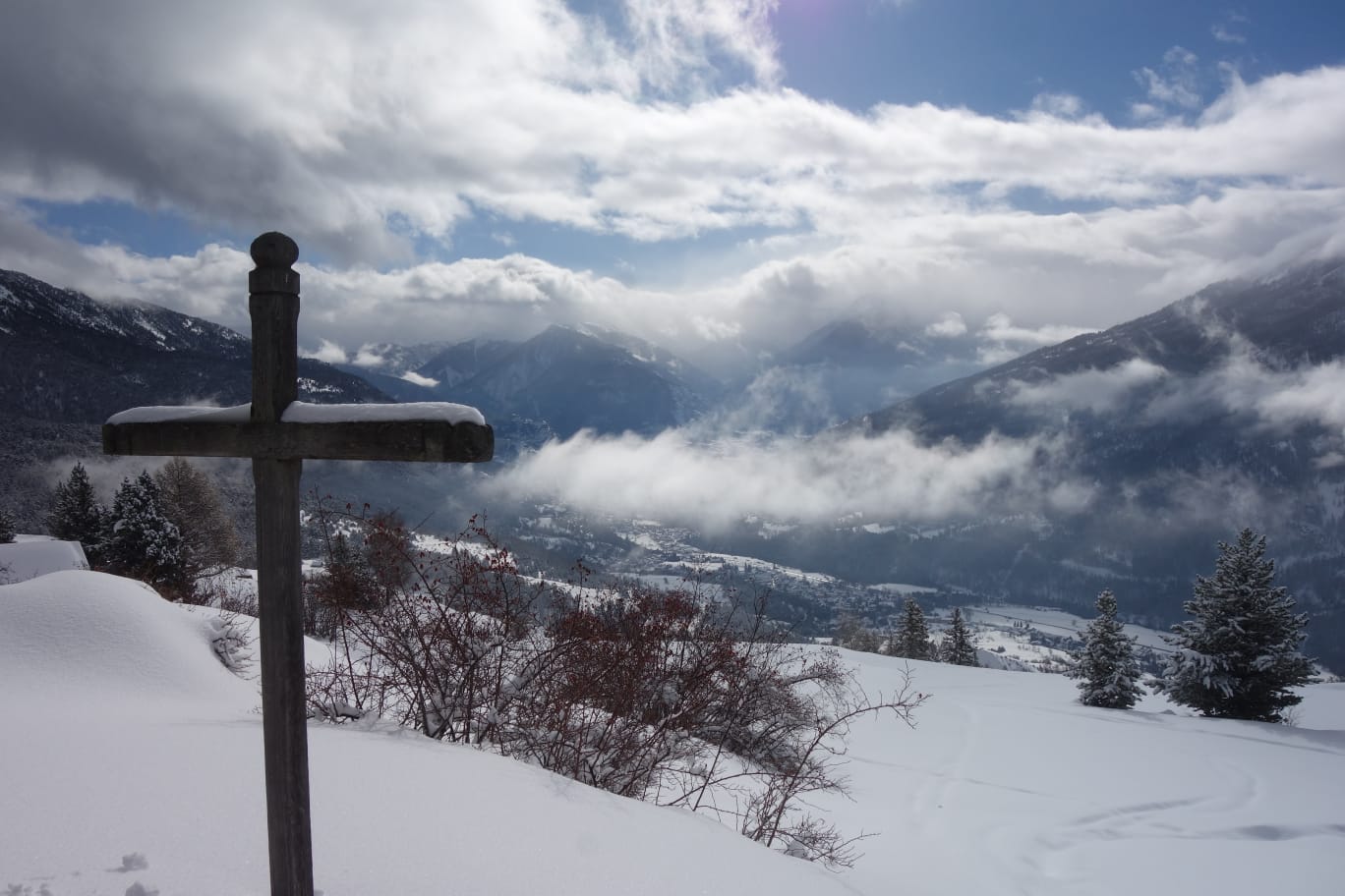 WhatsApp Image 2026 02 03 at 17.1