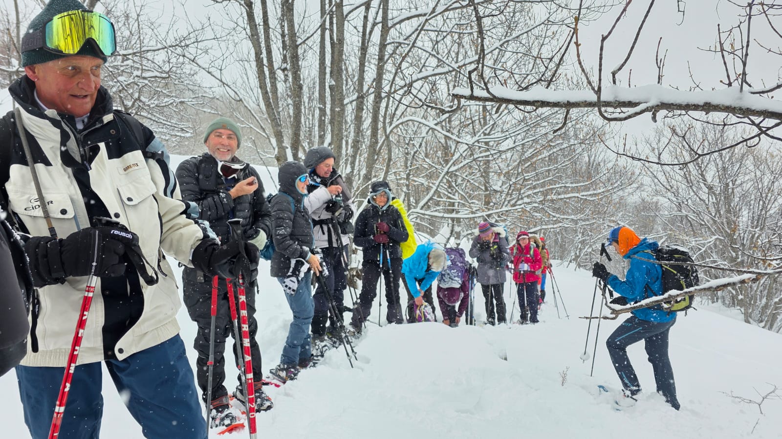 WhatsApp Image 2026 02 03 at 1721