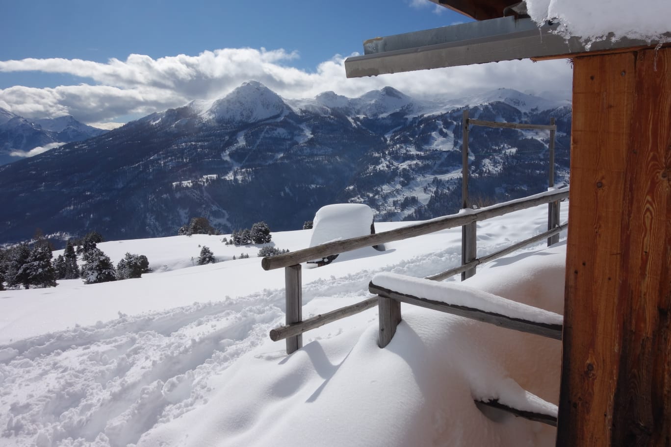 WhatsApp Image 2026 02 03 at 1740