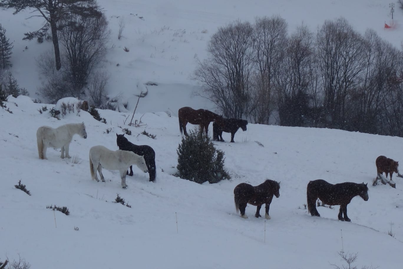 WhatsApp Image 2026 02 04 at 21.09.02