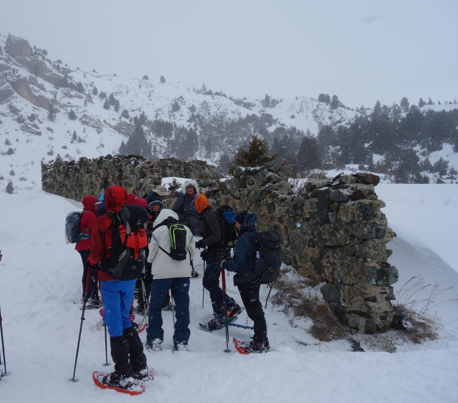 WhatsApp Image 2026 02 04 at 21.09.04