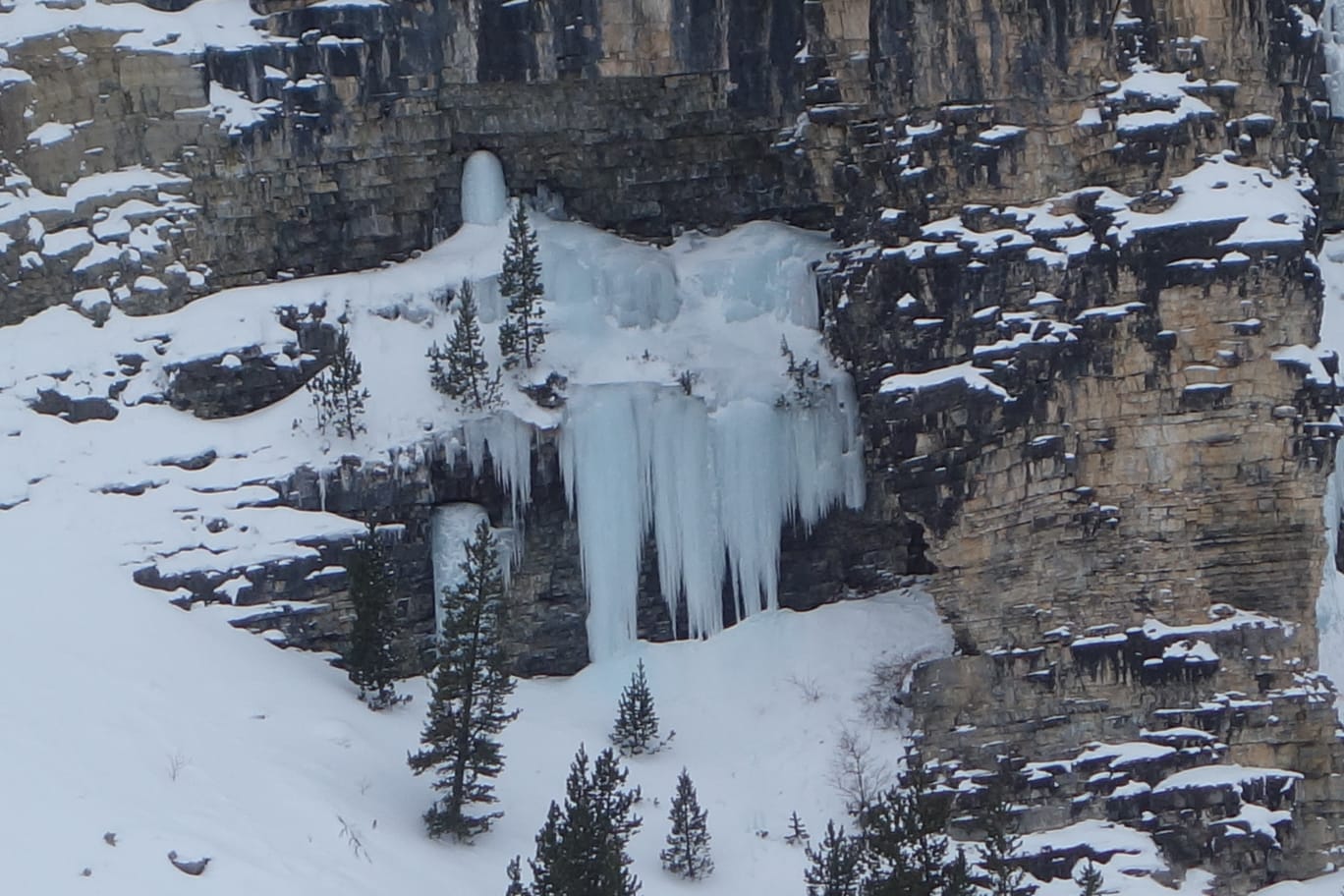 WhatsApp Image 2026 02 04 at 21.09.08