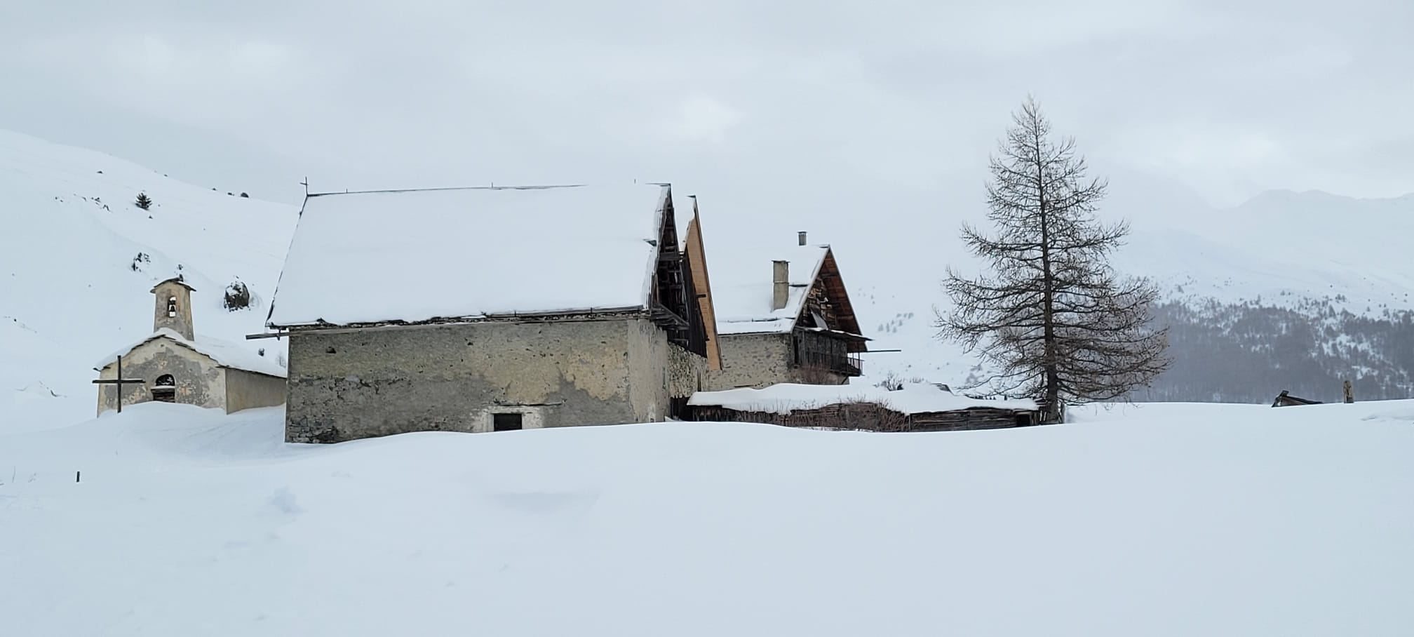 WhatsApp Image 2026 02 04t 20.18.32