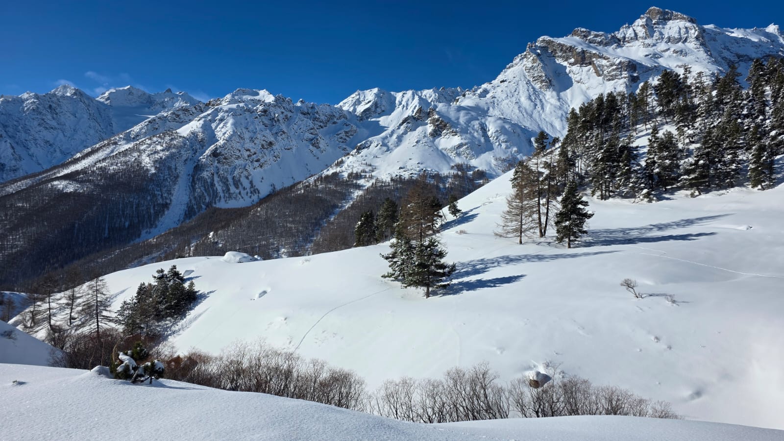 WhatsApp Image 2026 02 05 at 14.22.43