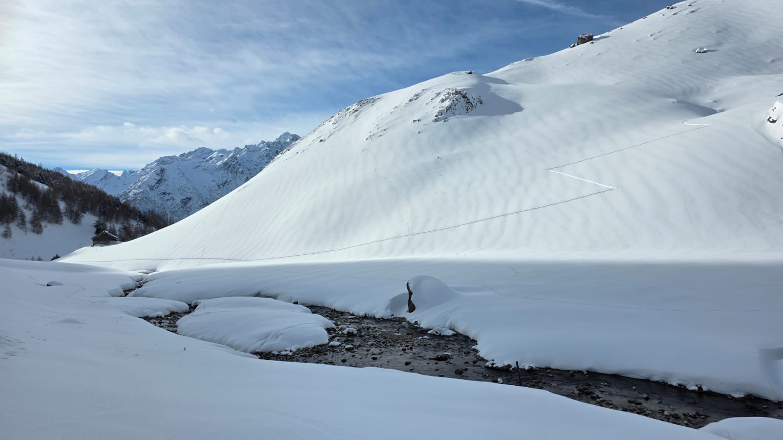 WhatsApp Image 2026 02 05 at 14.22.44