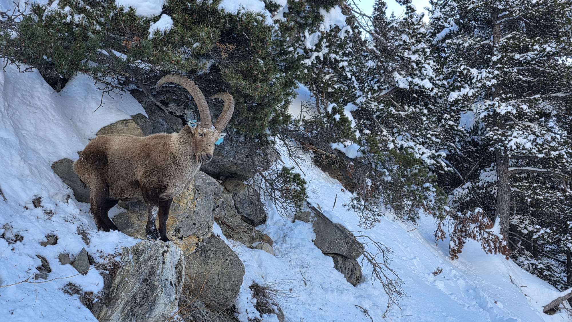 WhatsApp Image 2026 02 05 at 1422.43