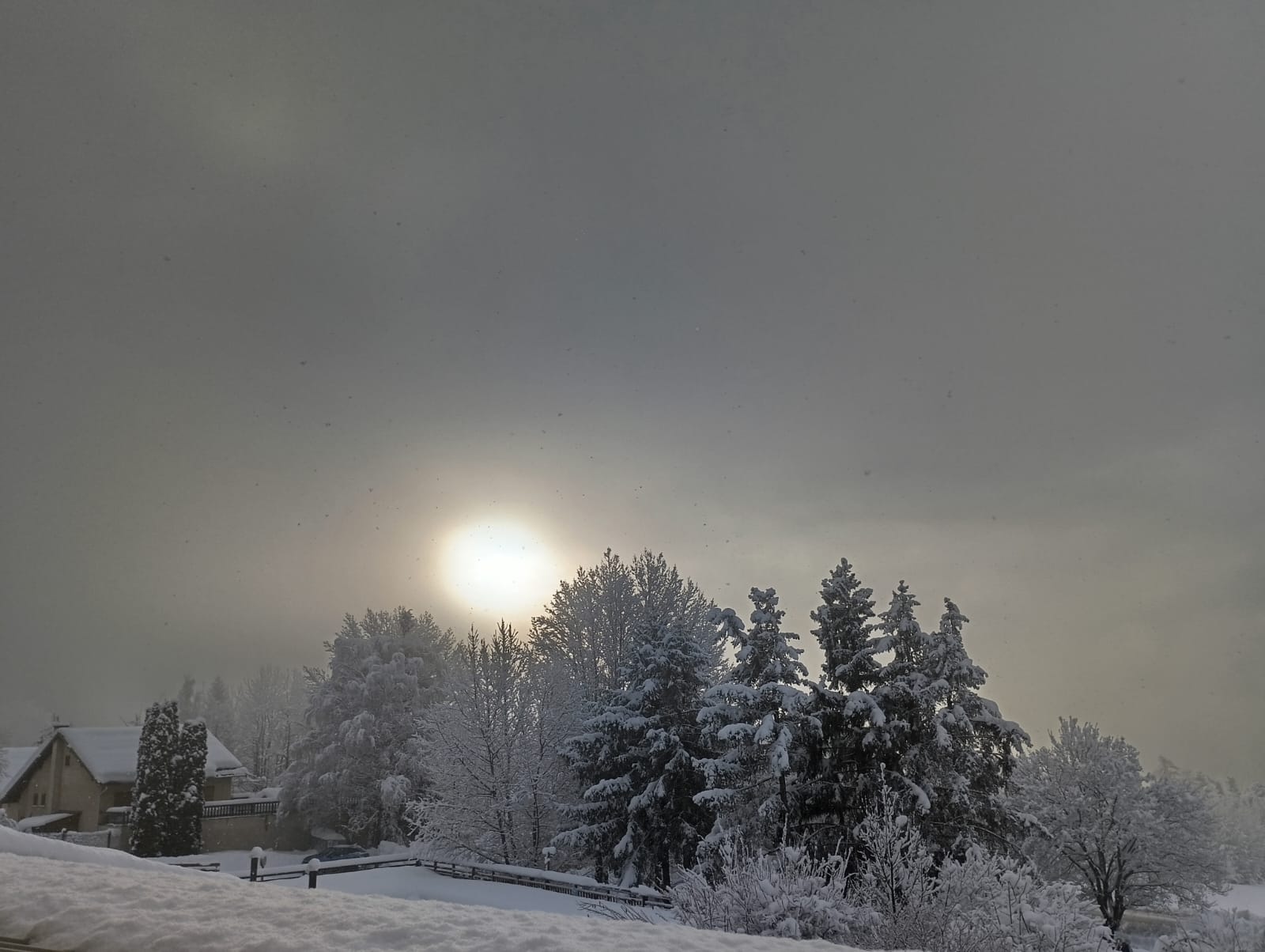 WhatsApp Image 2026 02 06 at 08.52.52