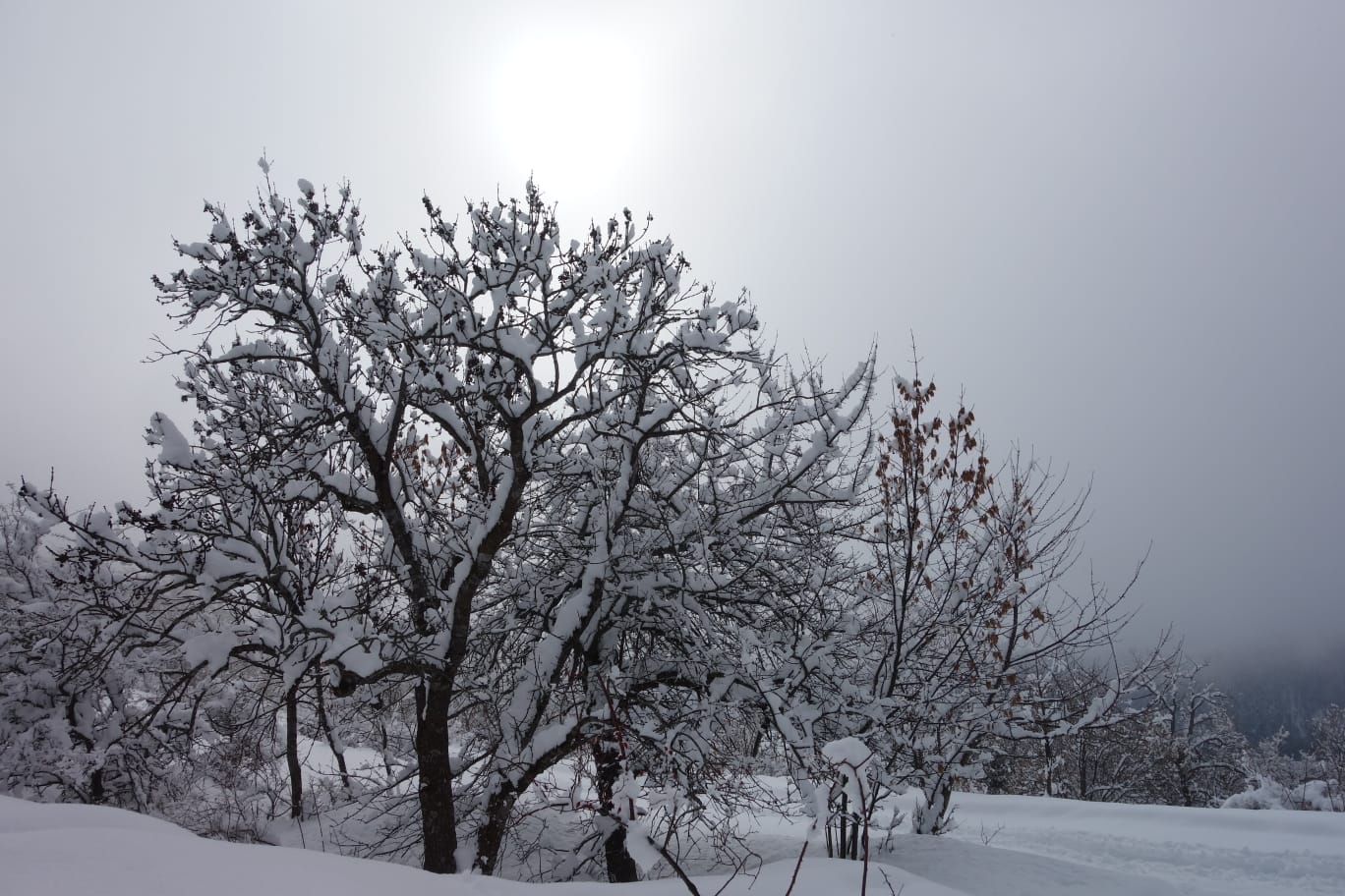 WhatsApp Image 2026 02 06 at 14.41.02