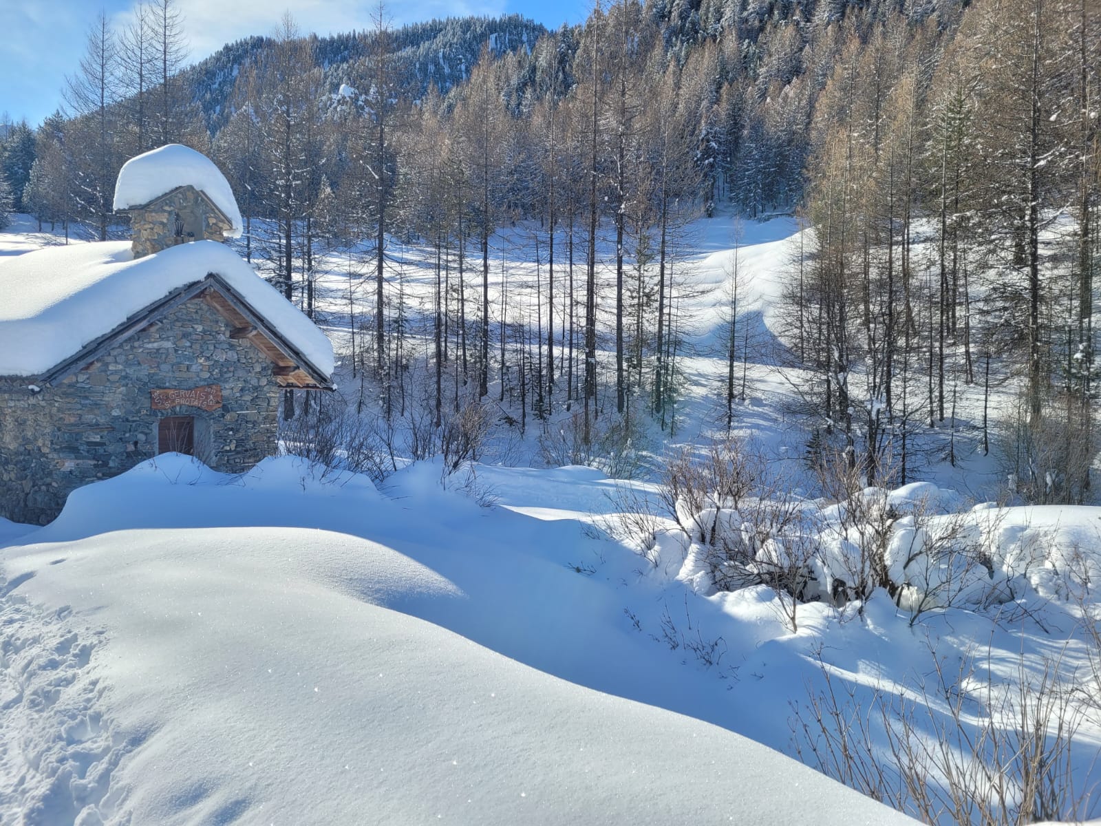 WhatsApp Image 2026 02 07 at 15.58.34