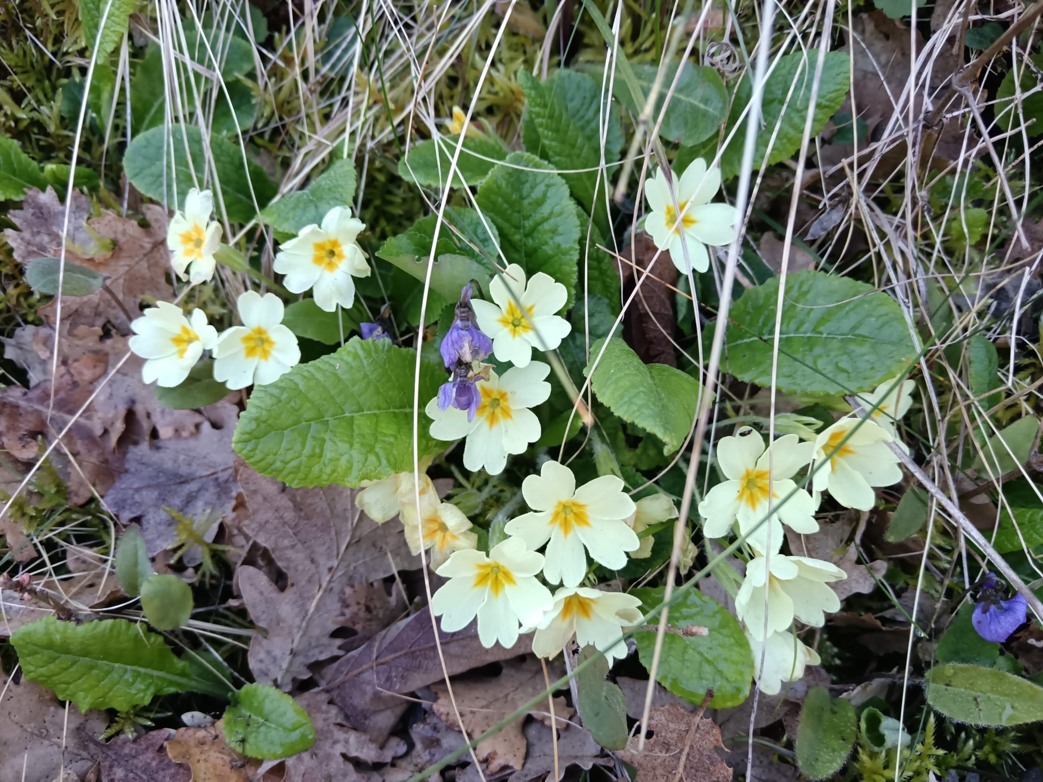 WhatsApp Image 2026 04 08 at 15.38.20