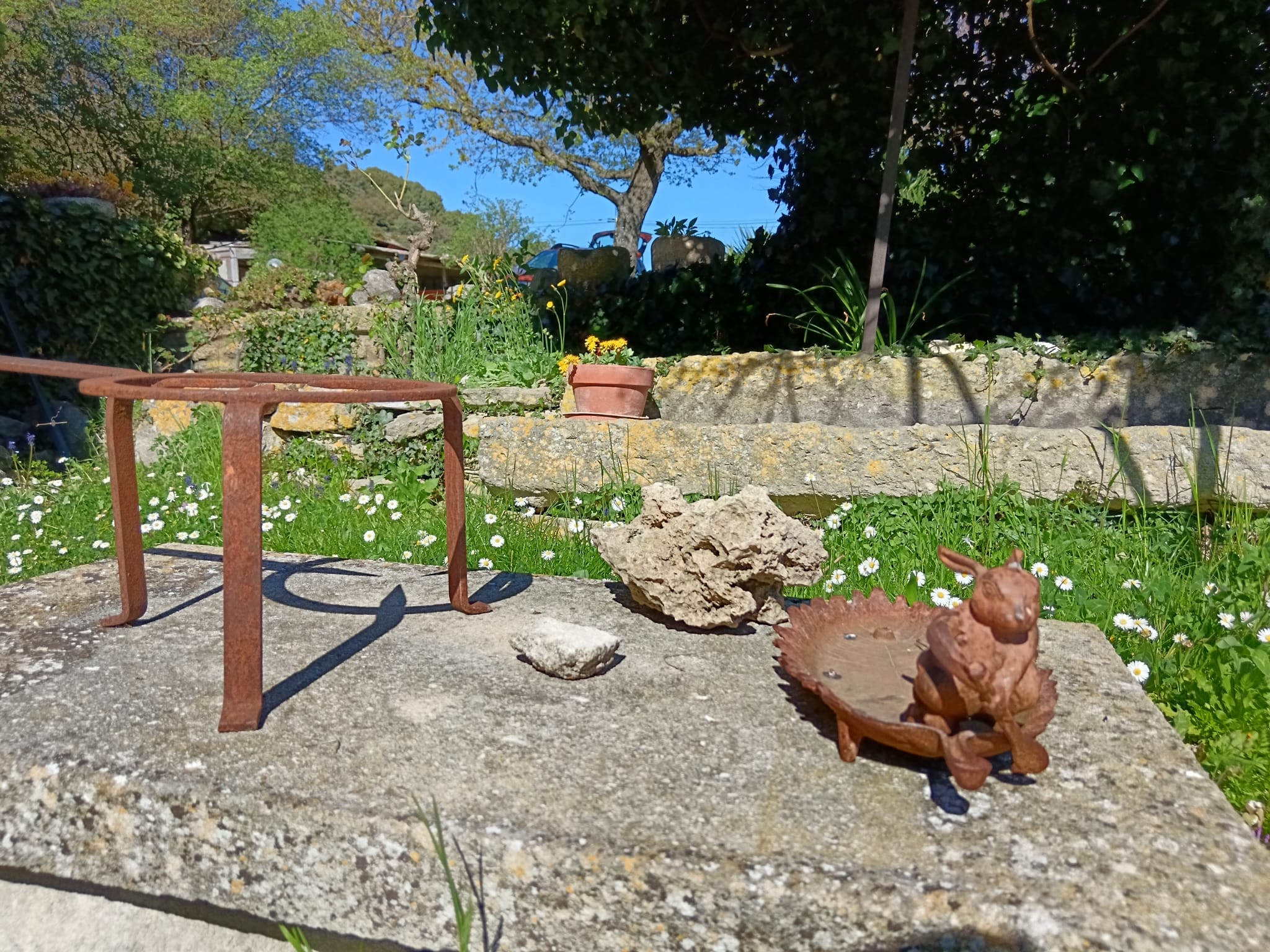 WhatsApp Image 20o08 at 15.38.23