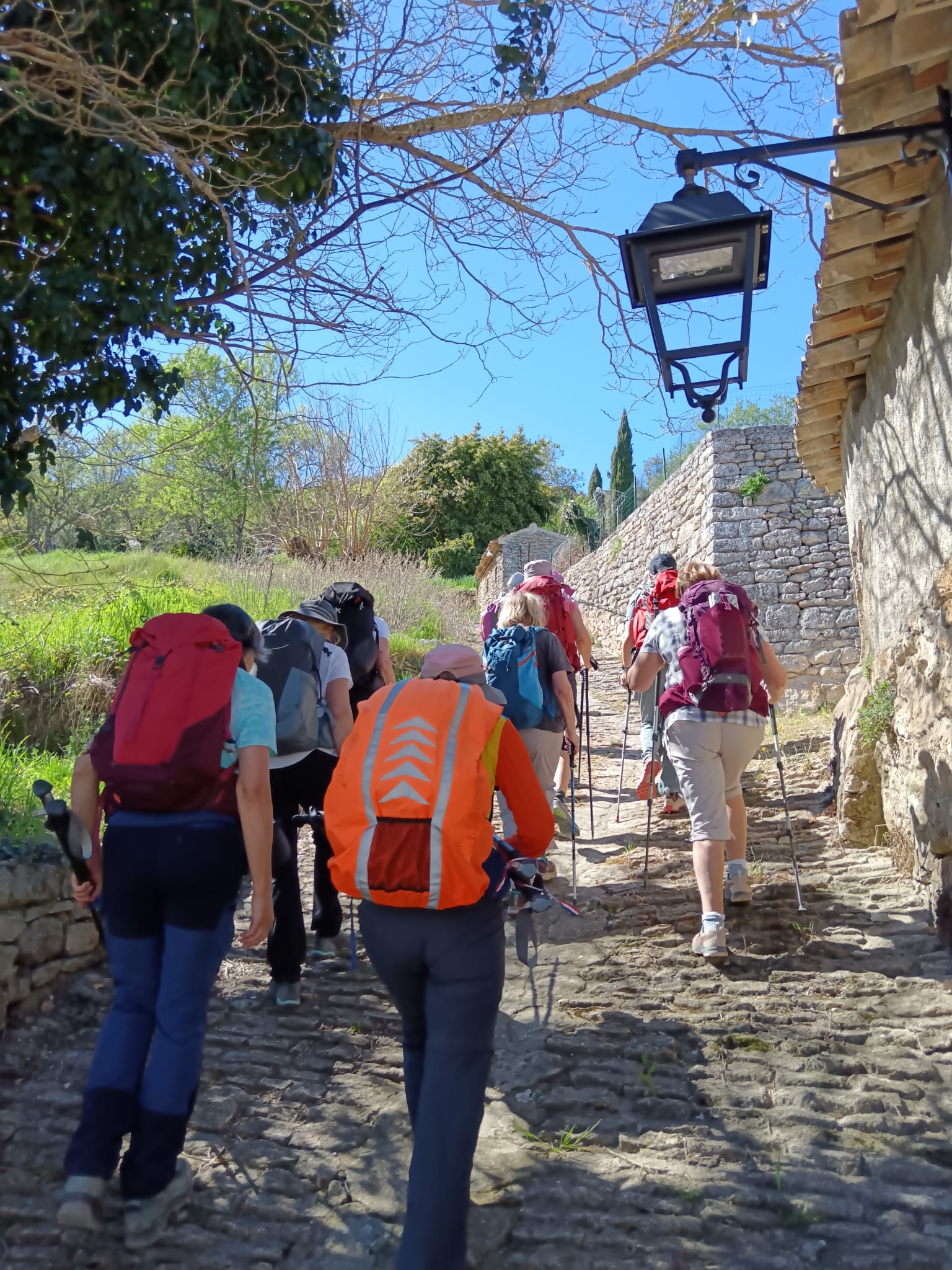 WhatsApp Imao 04 08 at 15.38.22