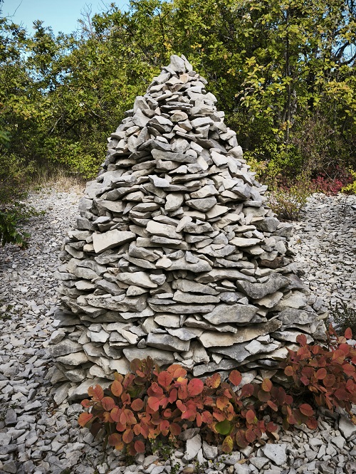 IMG 20251005 101533