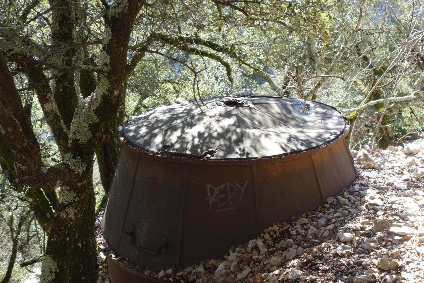 WhatsApp Image 2026 03 12 18.43.30