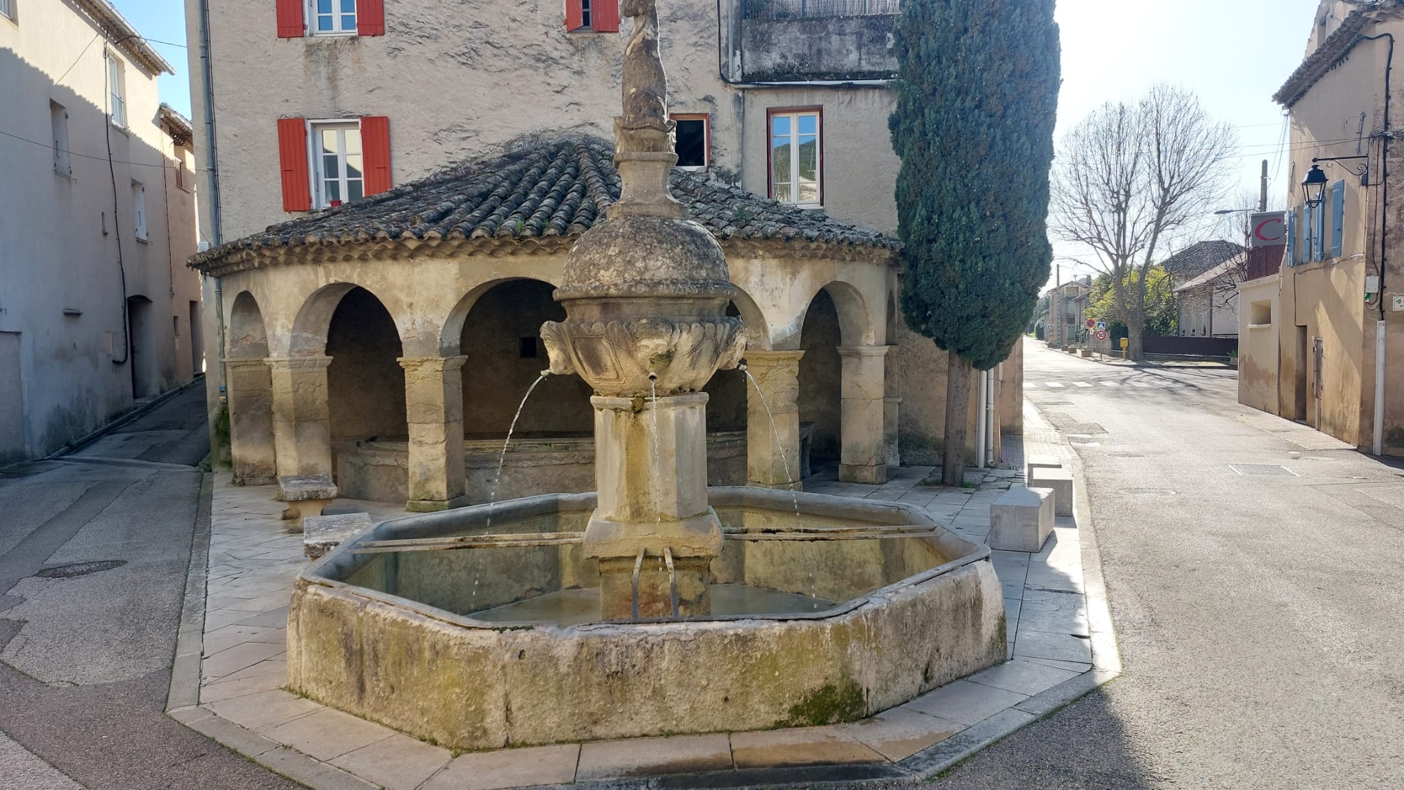 WhatsApp Image 2026 03 12 at