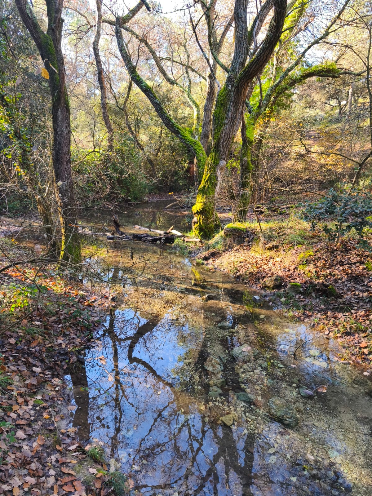 WhatsApp Image 2025 12 14 at 21.48ssss.13