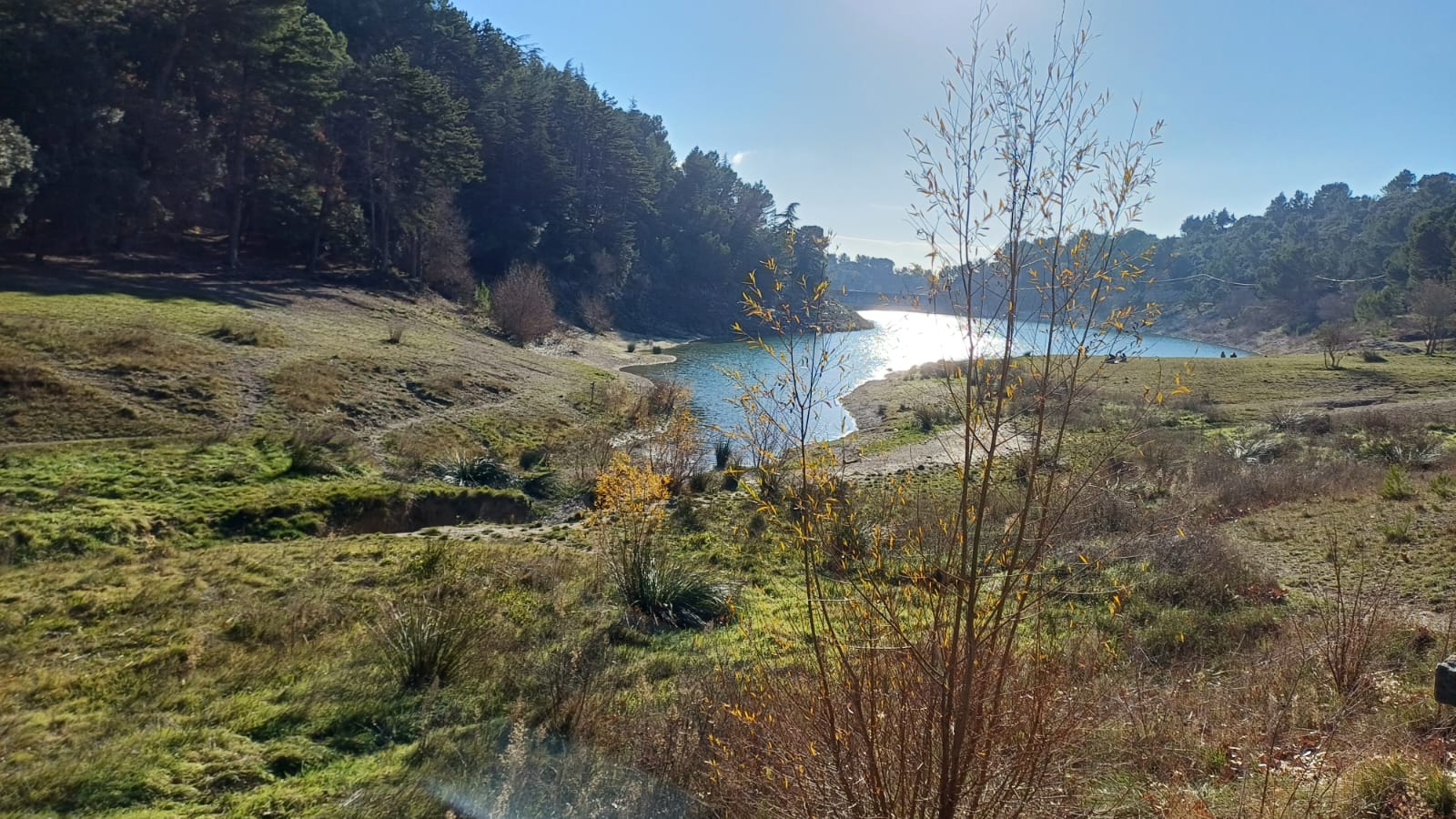 WhatsApp Image 2025 12 14 sat 21.48.08