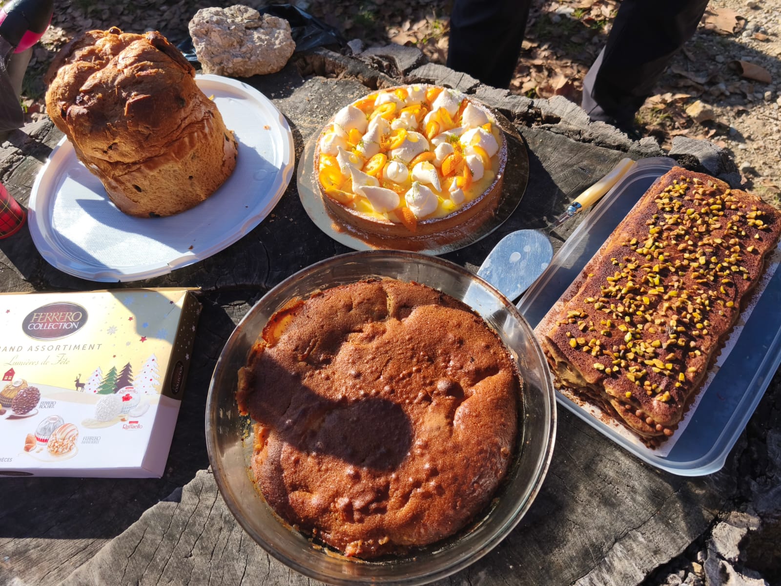 WhatsApp Image 2025sss 12 14 at 21.48.12