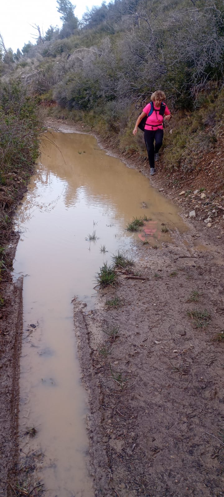 WhatsApp Image 2026 02 13 at .50.44