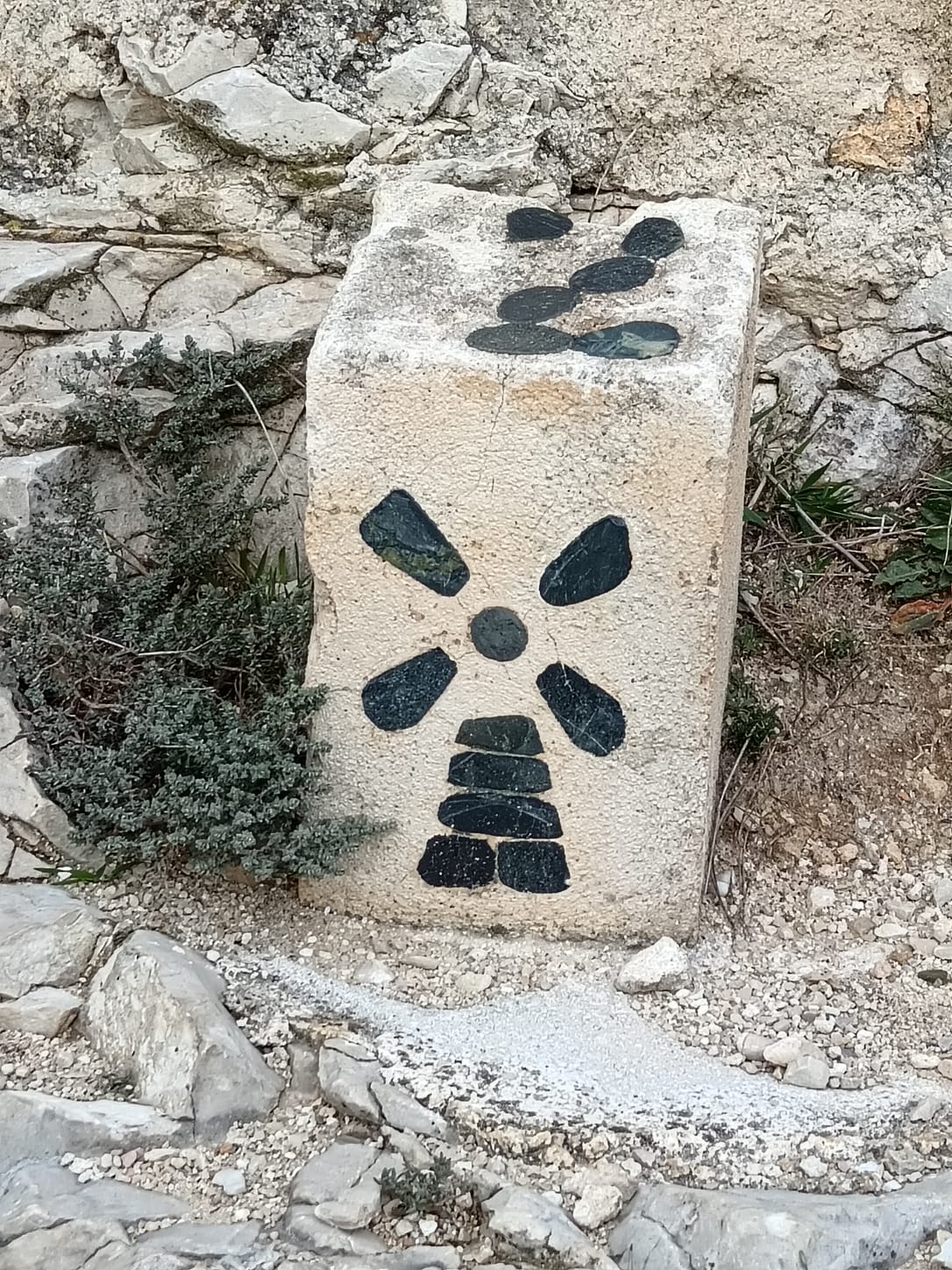 WhatsApp Image 2026 02 15 at 17.54.24