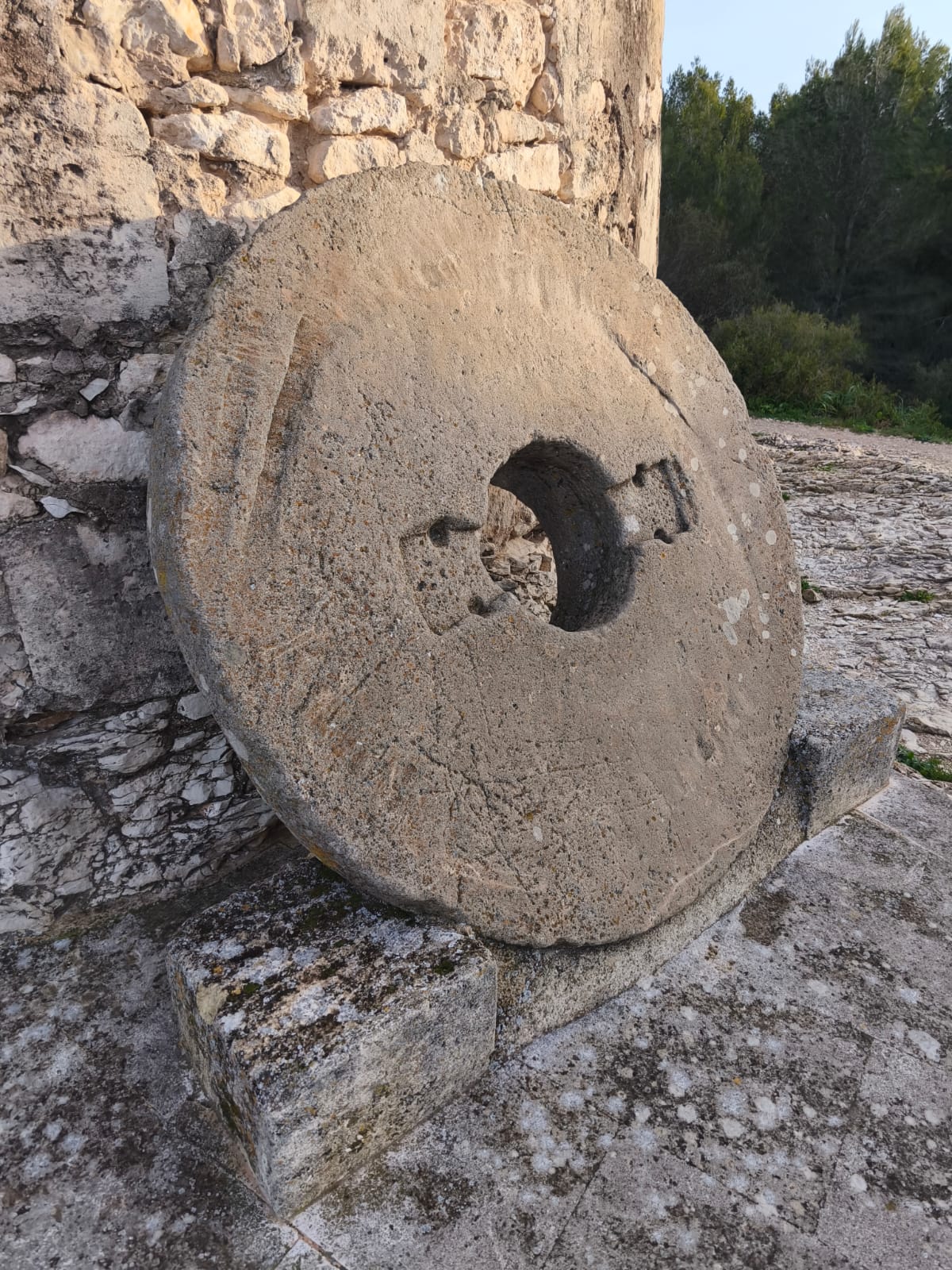 WhatsApp Image 2026 02 16 at 21.1.22