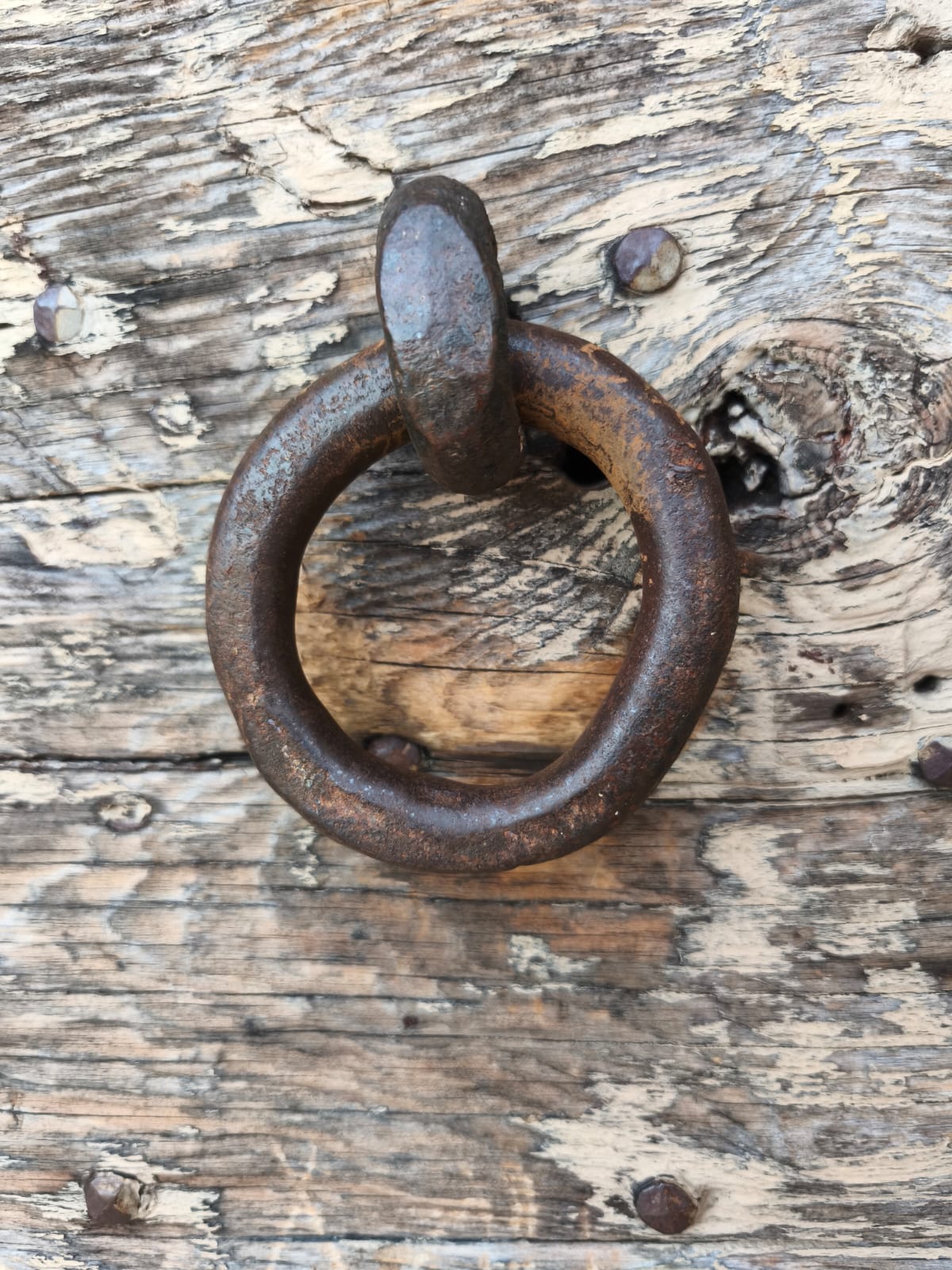 WhatsApp Image 2026 02 16 at 21.18.25