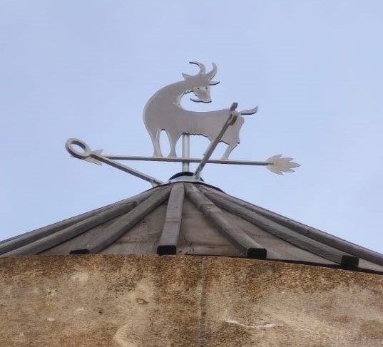 WhatsApp Image 2026 02 16 at 21.34.30