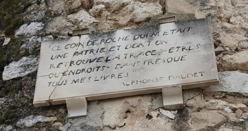 WhatsApp Image 2026 02 16 at 218.24