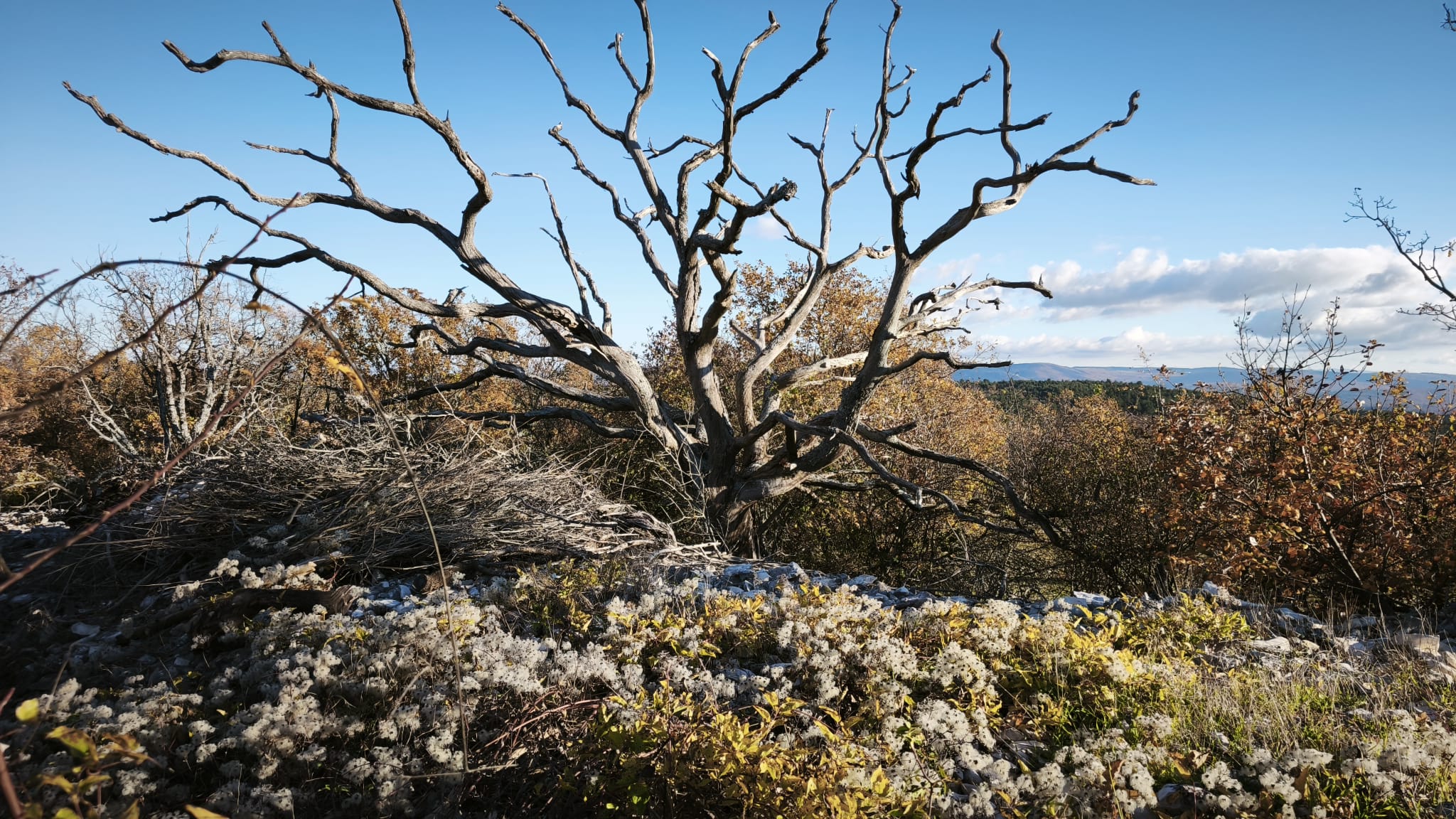 WhatsApp Image 2025 11 09 at 18.25.24