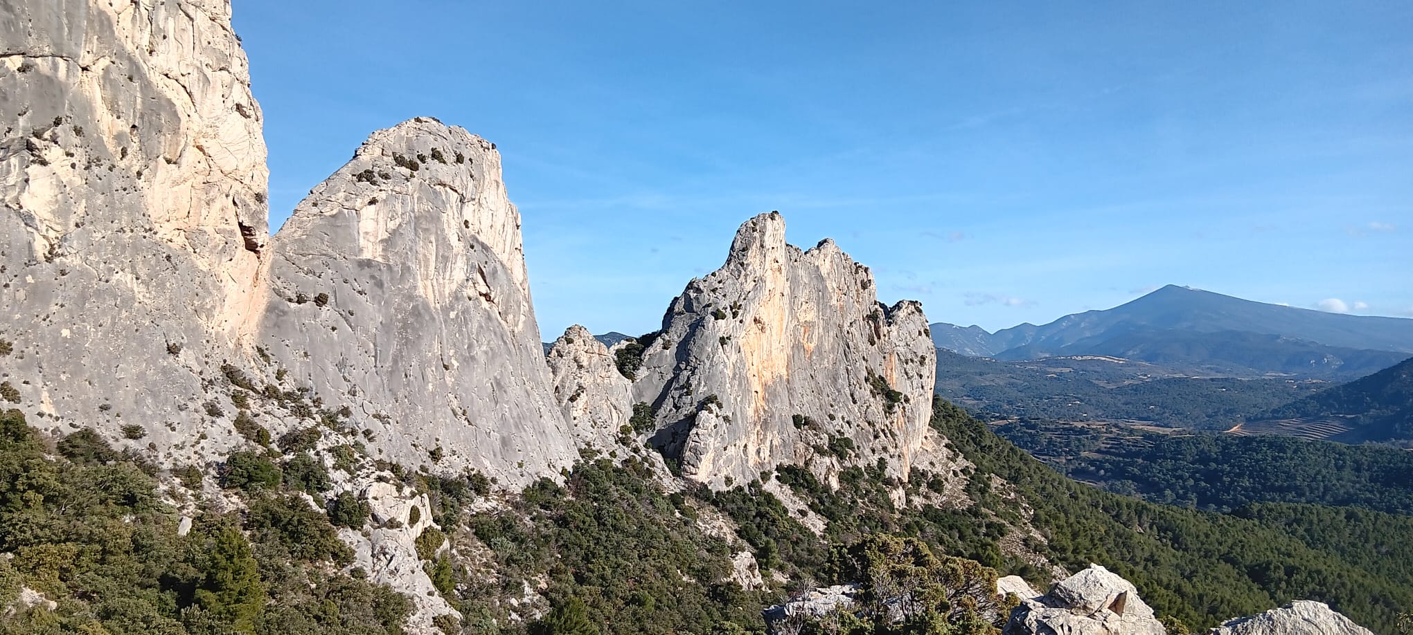 WhatsApp Image 2015 at 17.18.03