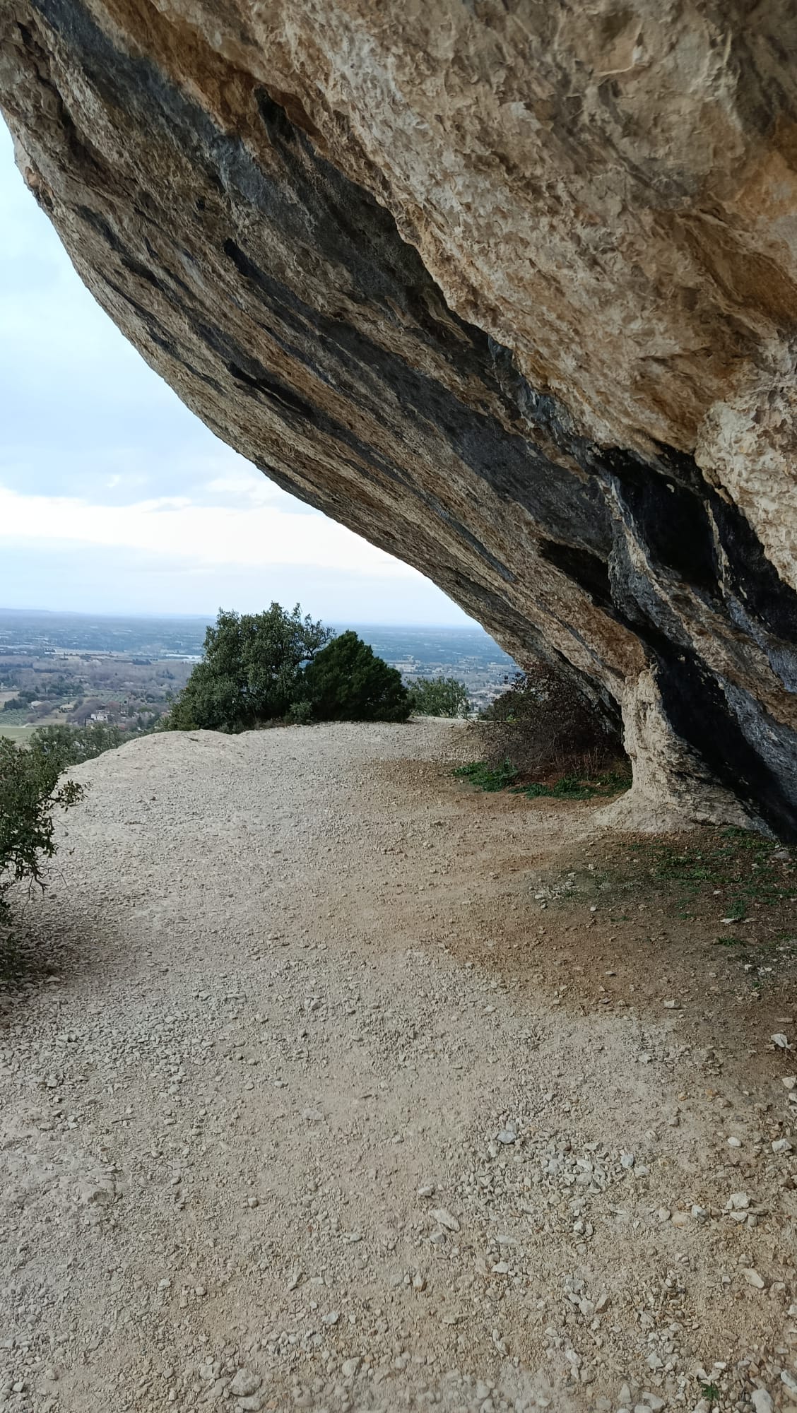 WhatsApp Image 2.13.24