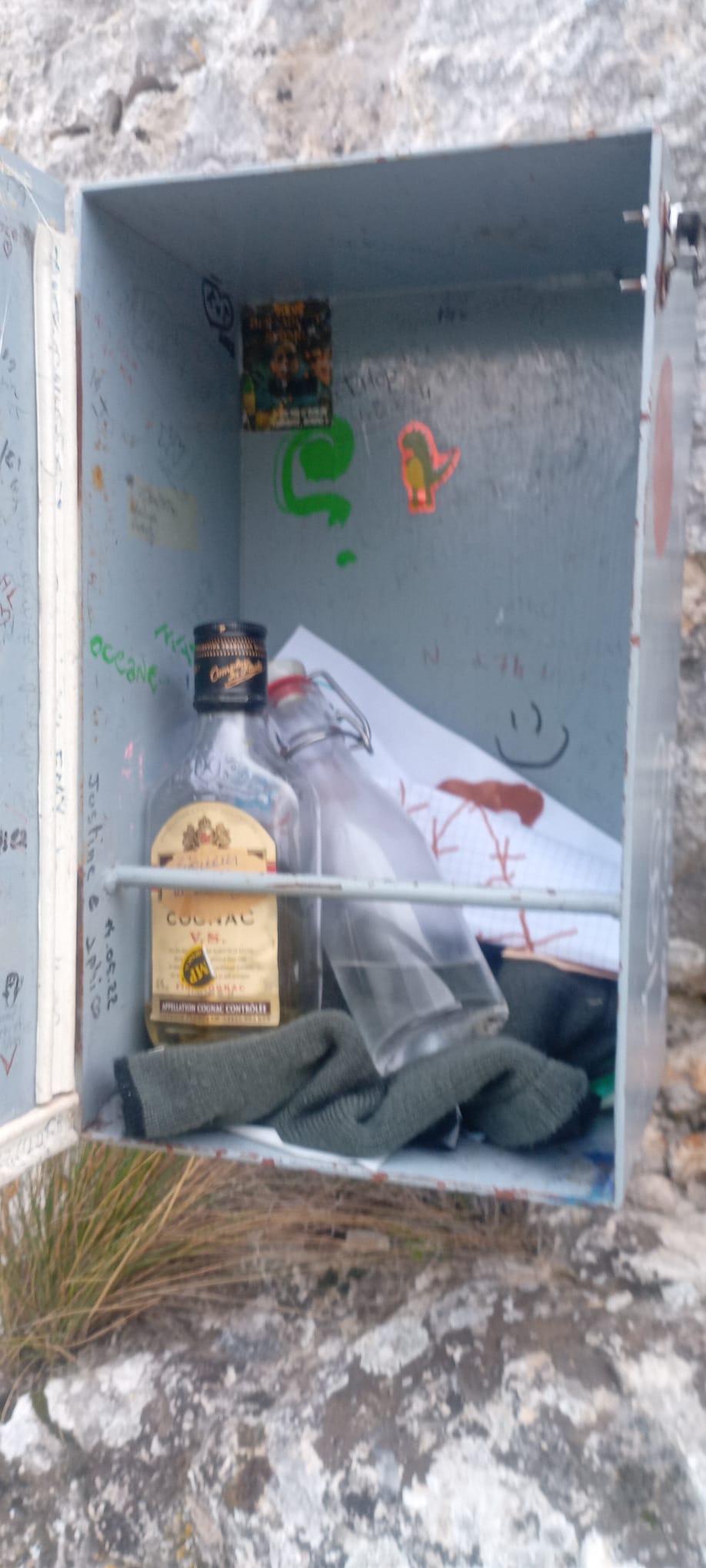 WhatsApp Image 2026 01 16 at 14