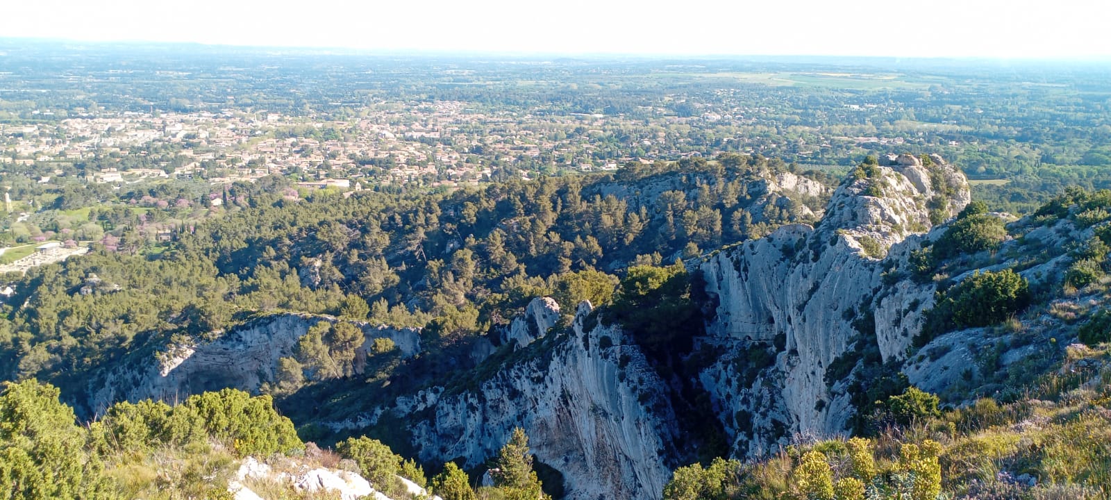 WhatsApp Imaat 19.01.31