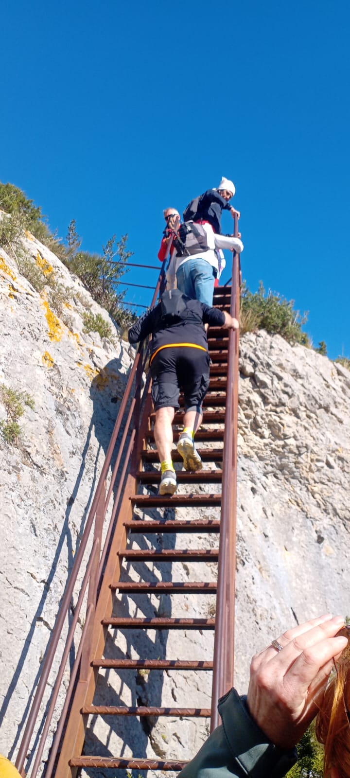 WhatsApp Imag16 at 19.01.29