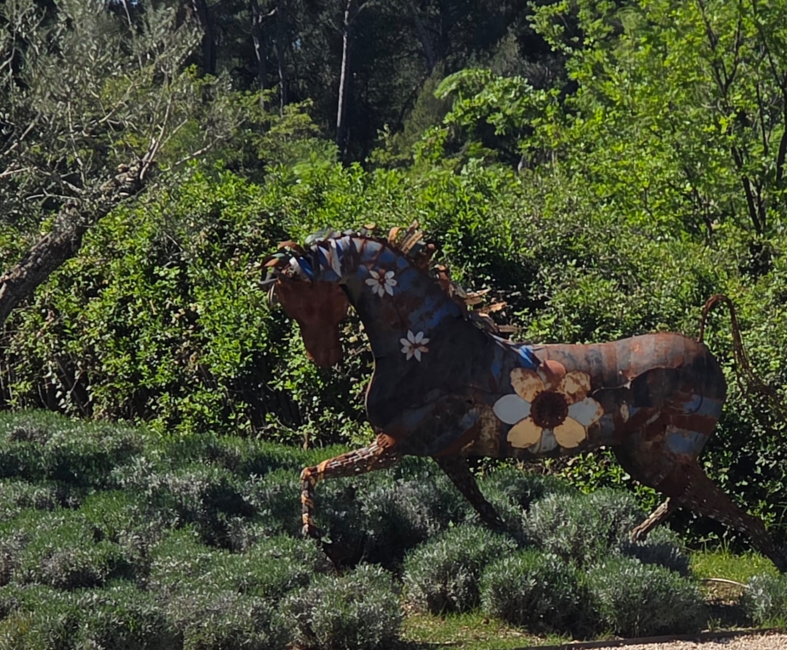 WhatsApp Image 2026 04 16 at 16.09.12