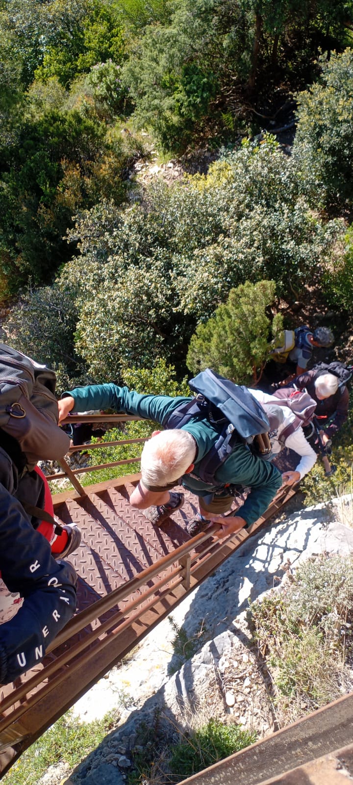 WhatsApp Image 2026 0 19.01.28