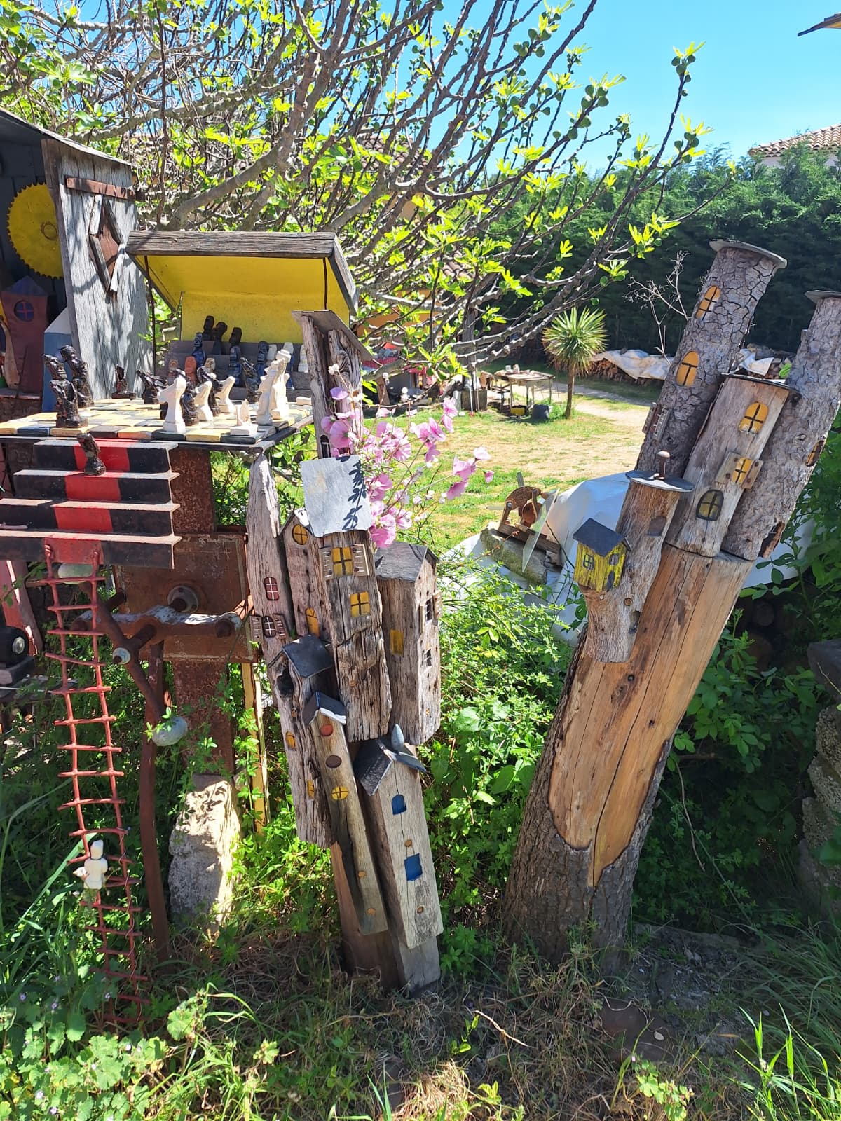 WhatsApp Ima 20.46.55